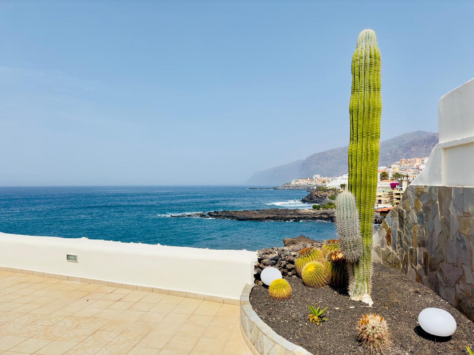 Beachfront Villa And Pool Puerto de Santiago  Luaran gambar